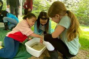 Students looking at stream sample